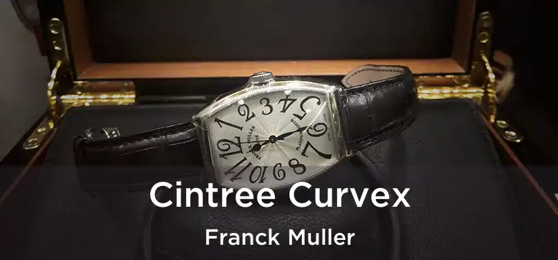  Cintree Curvex Franck Muller