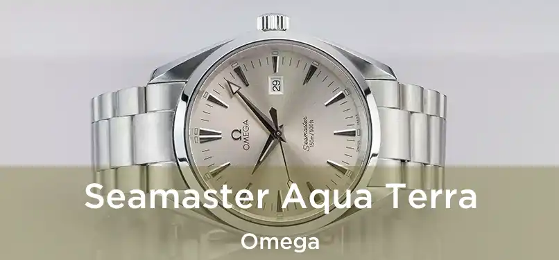  Seamaster Aqua Terra Omega